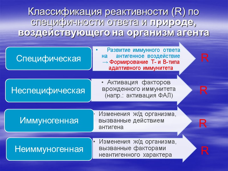 Классификация реактивности (R) по специфичности ответа и природе, воздействующего на организм агента R R